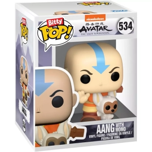Aang with Momo image