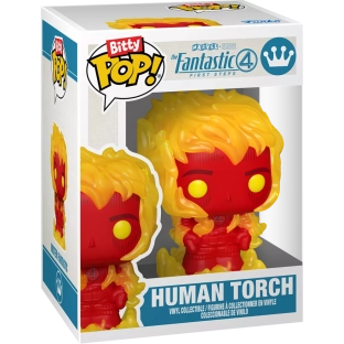 Human Torch image
