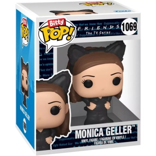 Monica Geller image
