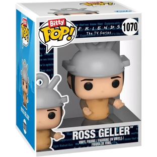 Ross Geller image