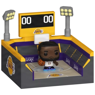LeBron James and Basketball Arena image