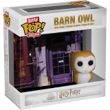 Barn Owl