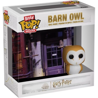 Barn Owl