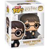 Harry Potter image