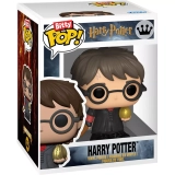 Harry Potter image