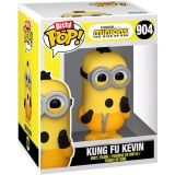 Kung Fu Kevin