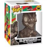  Dilophosaurus Fossil - Collectible Figure