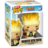 Naruto (6th Path)