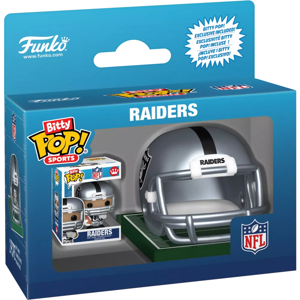 Raiders Box