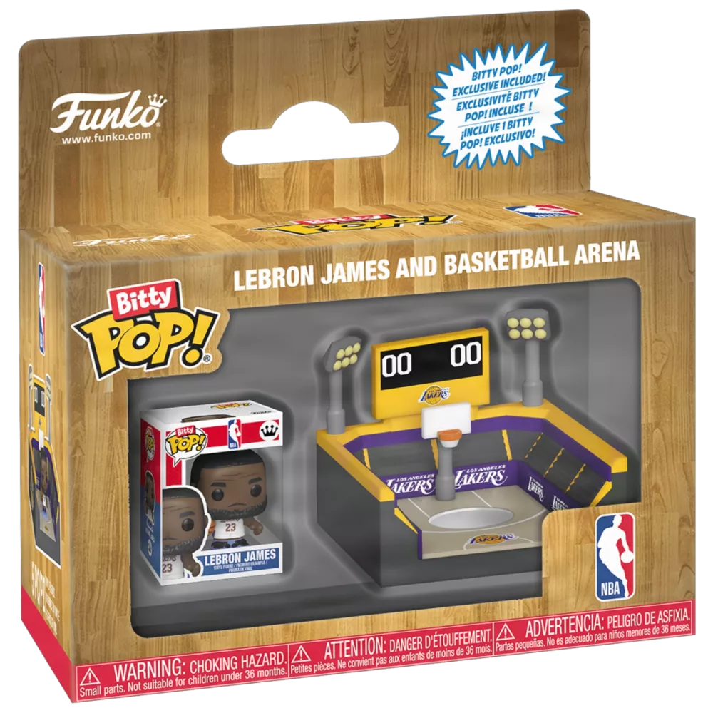 LeBron James and Basketball Arena Box
