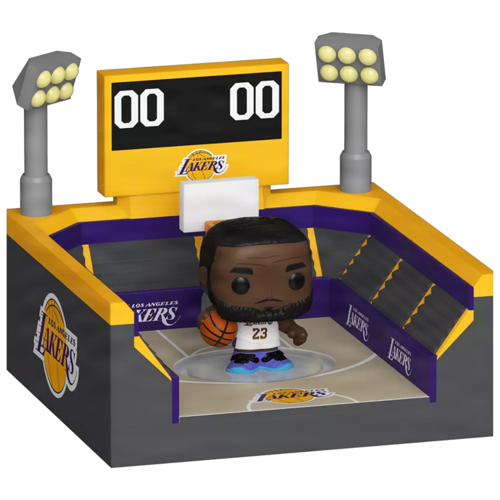 LeBron James and Basketball Arena