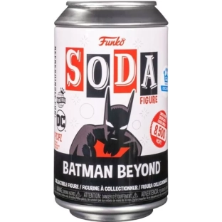 Batman Beyond International Version