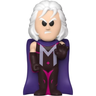 Magneto