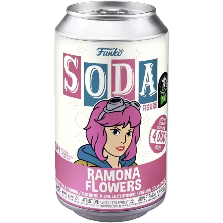 Ramona Flowers Box