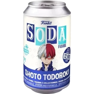 Shoto Todoroki International Version