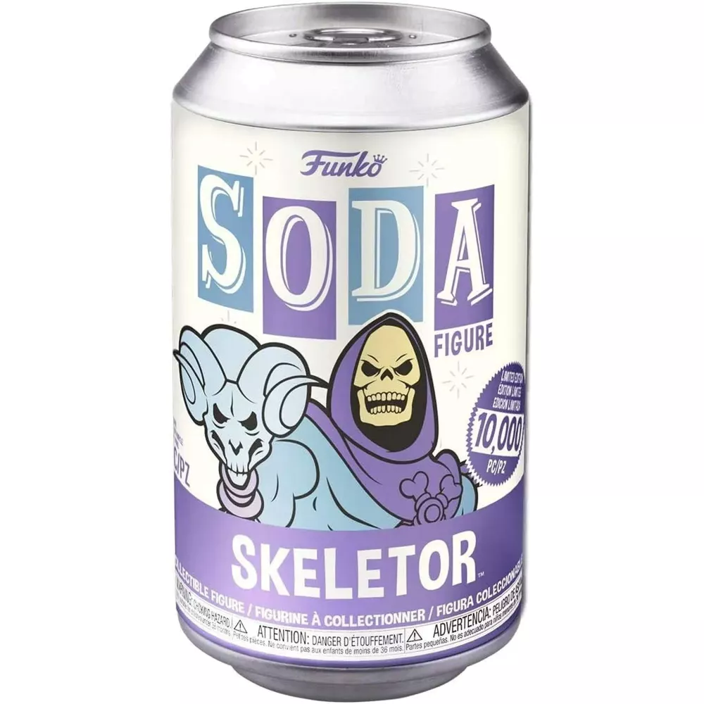 Skeletor Box