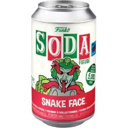 Snake Face Box