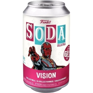 Vision