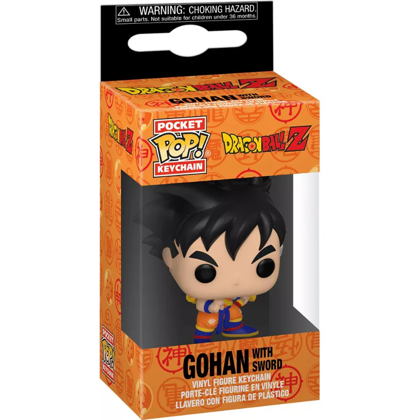 Gohan with Sword Box