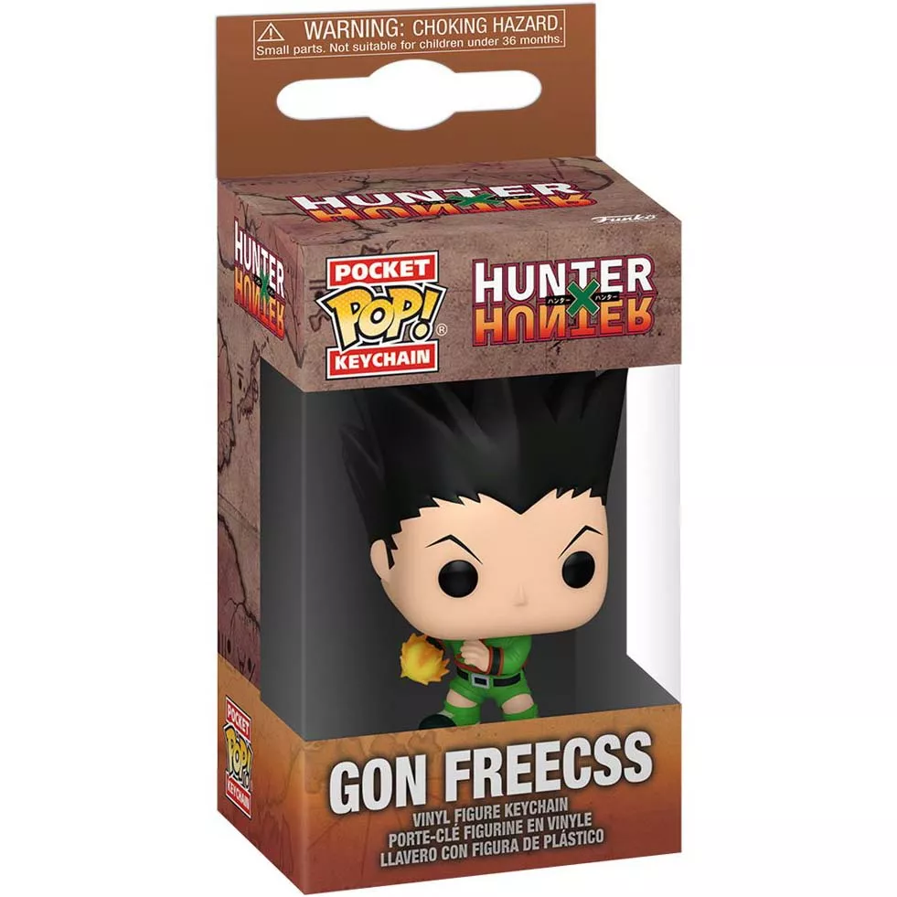 Gon Freecss Box