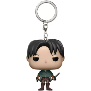 Levi image