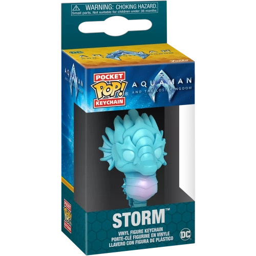 Funko Pop! Storm Pocket Pop! Keychain DC Aquaman and the Lost Kingdom Box
