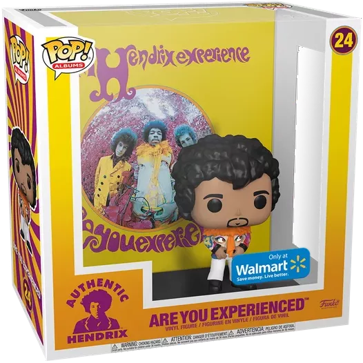 Are You Experienced Box