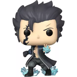 Gray Fullbuster