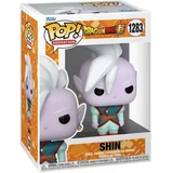 Shin