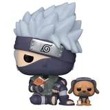 Kakashi Hatake with Pakkun image
