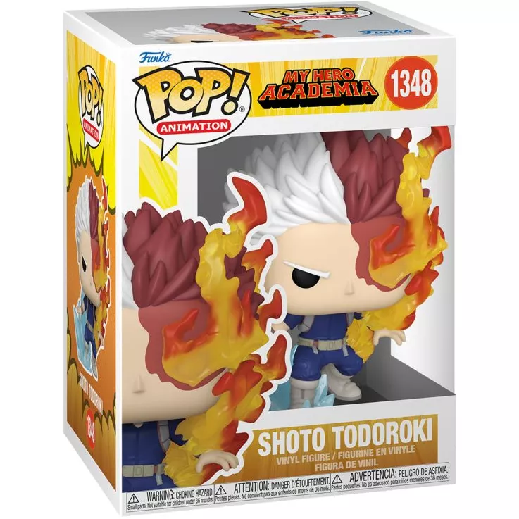 Shoto Todoroki Box