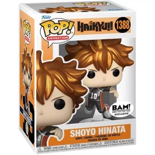 Shoyo Hinata