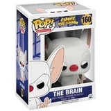 The Brain
