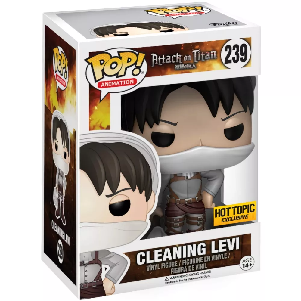 Cleaning Levi Box