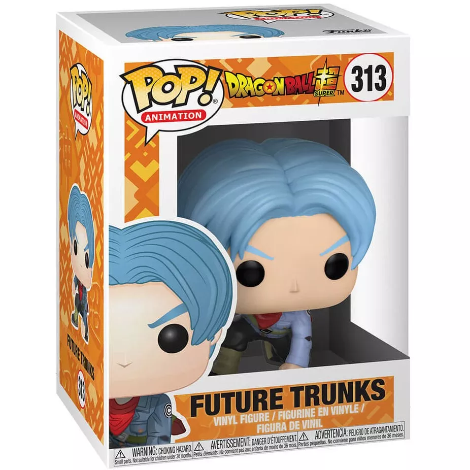 Future Trunks Box