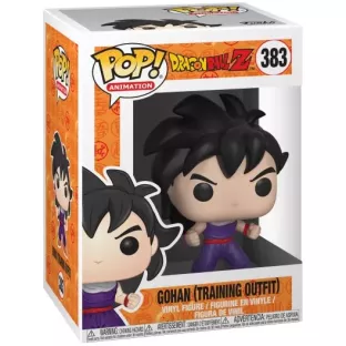 Gohan (Training Outfit)