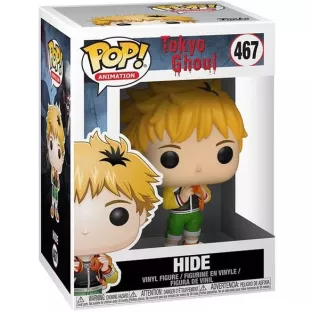 Hide