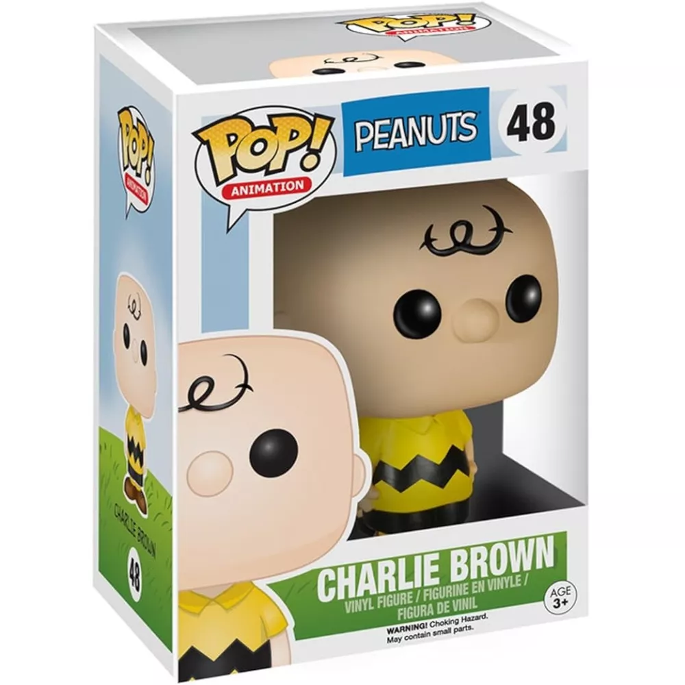 Charlie Brown Box