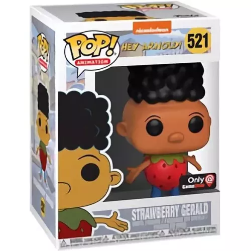 Funko Pop! Strawberry Gerald #521 Nickelodeon Hey Arnold! Box
