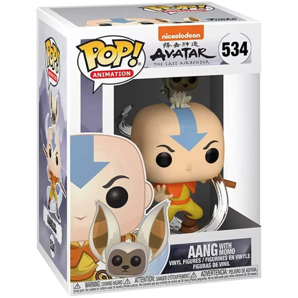 Aang with Momo Box