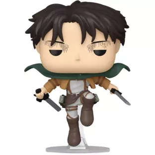 Levi image