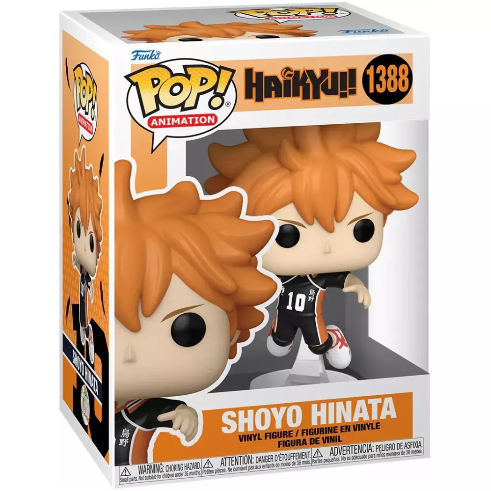 Shoyo Hinata Box