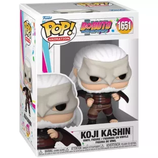 Koji Kashin