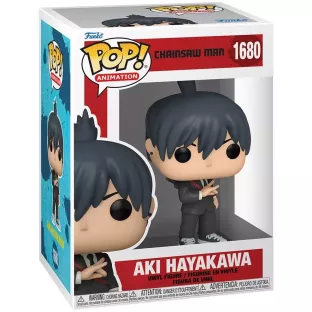 Aki Hayakawa