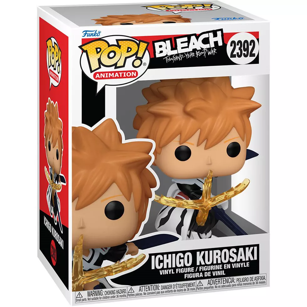 Ichigo Kurosaki Box
