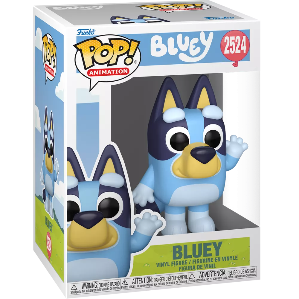 Bluey Box