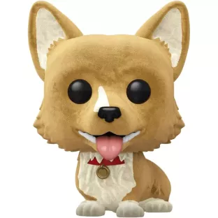 Ein