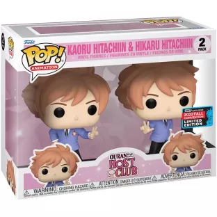 Hikaru Hitachiin