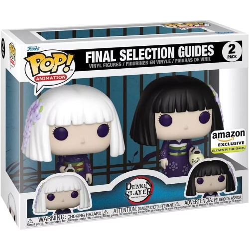 Funko Pop! Final Slection Guide 2 Pack Glows in the Dark Box