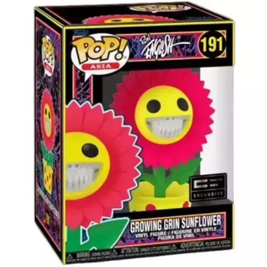 Growing Grin Sunflower Box